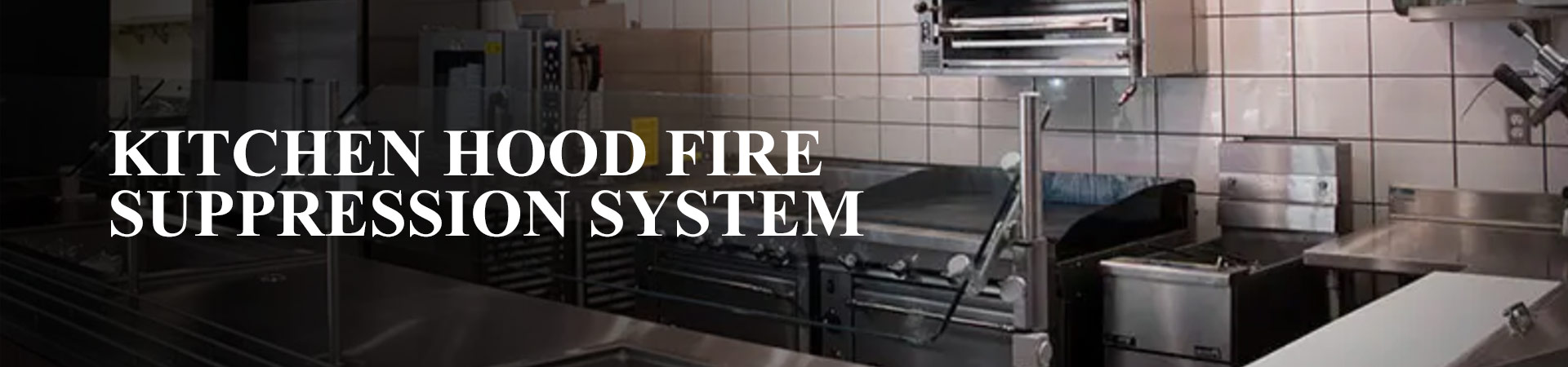 Ansul kitchen hood fire suppression system supplier in india